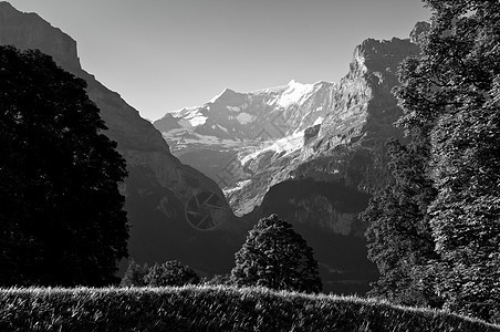 瑞士山脉 伯尔尼高地 阿尔卑斯山 欧洲阿尔卑斯山冰川风景旅行森林悬崖遗产顶峰地标高山滑雪图片