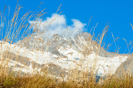 瑞士山脉 伯尔尼高地 阿尔卑斯山 欧洲阿尔卑斯山森林冰川僧侣地标遗产顶峰远足滑雪薄雾悬崖图片