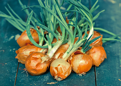 绿桌上一连串洋葱植物白色农业饮食收成烹饪棕色蔬菜营养绿色图片