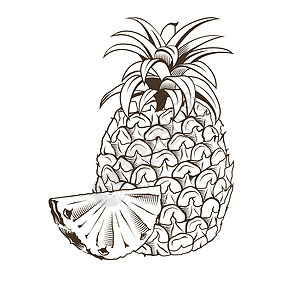 古代风格中的菠萝叶子木刻徽章广告食物生态插图美食蜜饯厨房图片