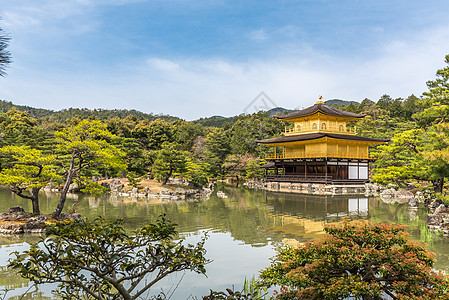 金阁寺 春天金殿 京九的佛庙图片