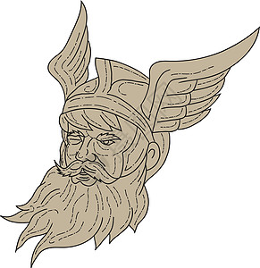 侧面翅膀素材北欧神奥丁头像绘图插图草图艺术品墨水神话男性胡子上帝男人手绘设计图片