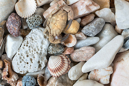海泡饼鞋底碎石宏观花岗岩韧性石头贝壳物质海螺鹅卵石图片