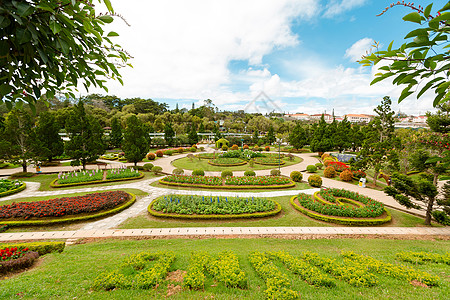 生态园林阳光明媚 花朵多彩的春春夏公园花瓣植物群场地草地季节花园花坛灌木丛景点植物背景