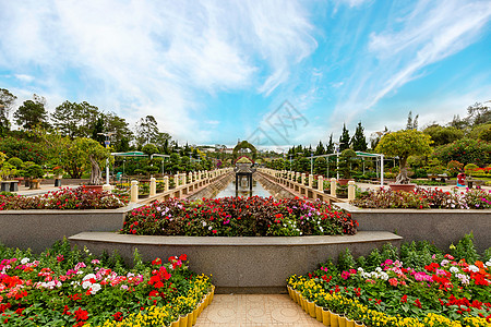 生态园林阳光明媚 花朵多彩的春春夏公园公园植物花瓣灌木丛季节草地土地景点花园花坛背景