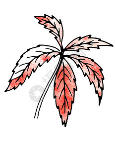 手绘园林红植物叶 手绘和计算机处理树木花园红色水彩绘画园林森林树叶绿化观光背景