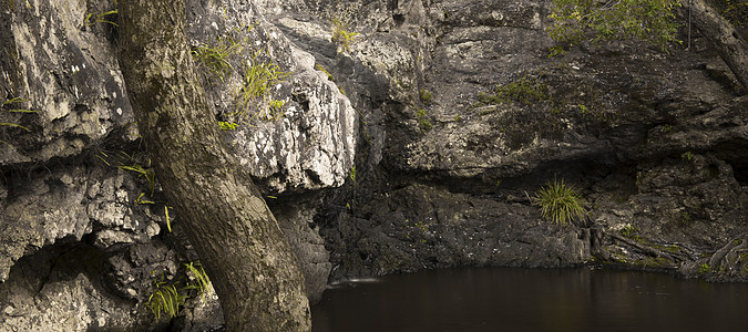 美丽的Kondalilla瀑布遗产公园环境叶子荒野旅行国家溪流生态热带图片
