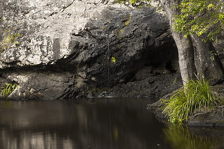 美丽的Kondalilla瀑布风景国家溪流热带生态岩石叶子公园遗产世界图片