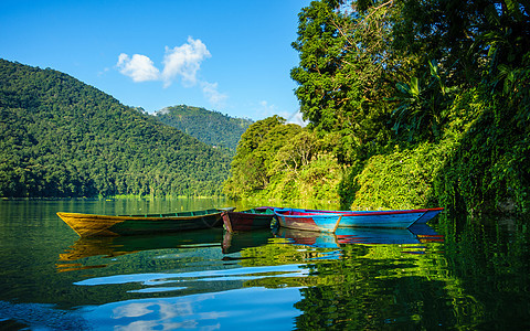 尼泊尔波克拉Phewa湖的多彩小船图片