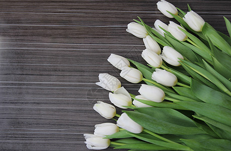 一大束白色的花束 有绿色叶子的白郁金香花瓣季节团体礼物出生日期展示周年植物惊喜图片