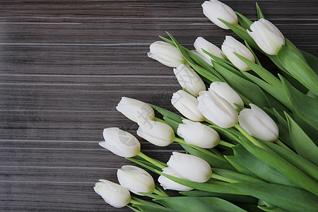 一大束白色的花束 有绿色叶子的白郁金香周年花瓣庆典植物情人纪念日日期展示团体惊喜图片