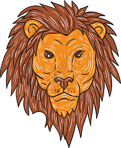 狮子狮子大猫头饰鬃毛草图手绘艺术品猫科插图手工雄狮男性野生动物图片