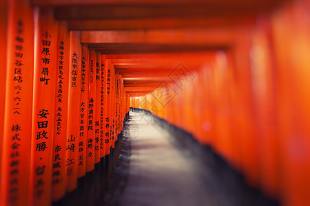 日本京都神社遗产旅游入口隧道橙子牌坊通道旅行神社神道图片