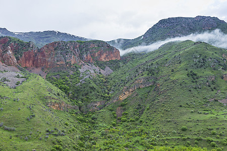 树木草地格鲁吉亚Kaukaz山地景观 天空美丽森林荒野蓝色地质学活力灰色草地旅行绿色树木背景