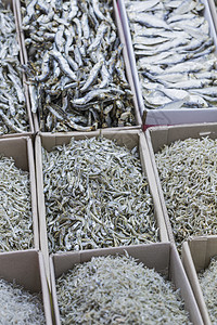 传统的市场摊位 箱装干海鲜乌贼集市盘子烹饪价格营养柜台章鱼美食小吃图片