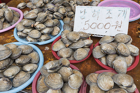 韩国釜山鱼市的海产食品龙虾钓鱼餐厅贝类饮食营养市场海鲜柠檬美食图片