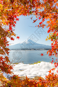 秋秋藤山草原红树光洋植物薄雾公吨火山杂草芦苇红假图片