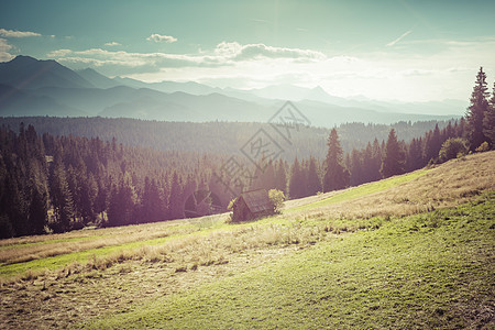 从徒步足迹看塔特拉山脉 波兰 欧洲奥科顶峰反射风景小路蓝色天空松树爬坡森林图片