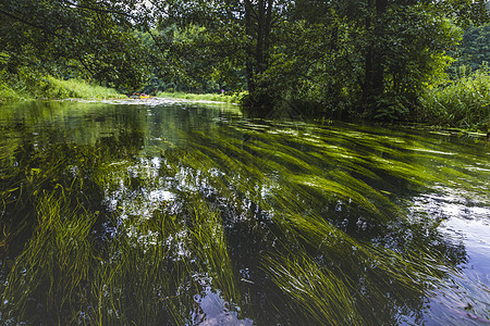 波兰罗斯普达河上的凯亚克流动运动员环境独木舟森林运动荒野娱乐跑步植物群图片