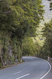 克里多河谷沿线的密尔福德公路树木峡湾风景丘陵顶峰公园旅游远景森林国家图片