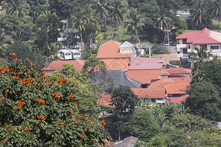 清晨城市风景 在斯里兰卡的坎迪山脉晴天图片