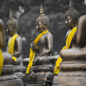 斯里兰卡科伦坡寺佛像沉思雕塑佛教徒纪念碑宗教历史金属雕像宝藏金子图片