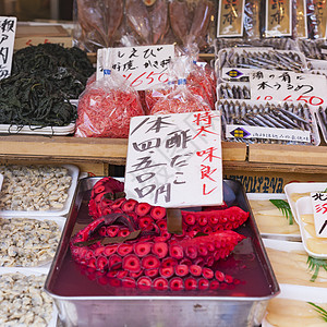 日本东京津二鱼市的红活章鱼居住触手烹饪海鲜海洋美食市场情调异国食物图片