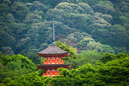 京都寺附近的大山济寺三座塔塔场景神道建筑清水旅行历史神社树叶树木枫树图片