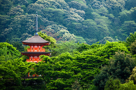 京都寺附近的大山济寺三座塔塔宗教枫树历史性场景旅游寺庙佛教徒旅行信仰清水图片