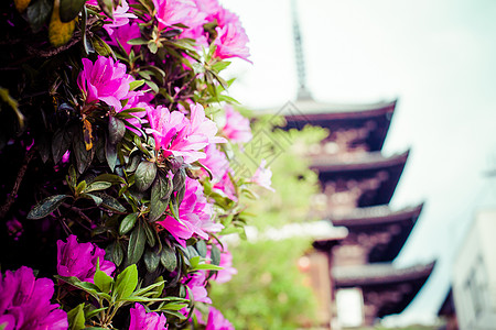 京都Toji寺塔塔旅游文化佛教徒建筑学寺庙纪念碑地标观光神道世界遗产图片