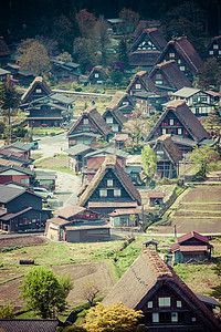 传统和历史古老的日本小岛Ogimachi村     日本白川之国鸟瞰图农家全景房子森林文化建筑学博物馆农场地标图片