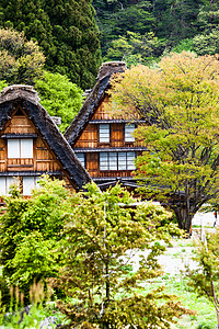 传统和历史古老的日本小岛Ogimachi村     日本白川之国农场全景历史性村庄建筑房子文化三角形遗产农家图片