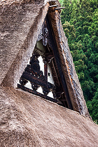 传统和历史古老的日本小岛Ogimachi村     日本白川之国历史性橙子全景三角形房子博物馆文化森林房屋地标图片