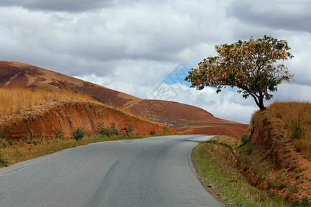 路经马达加斯加高原乡村地貌的道路沥青爬坡旅行山脉场地稻田草原编队贫困环境图片