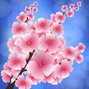 春天粉红色的花图片