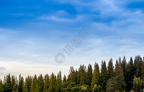 雾雾多云的山峰山谷的日出风景云景天空红色晴天橙子辉光水平火焰地平线黄色图片