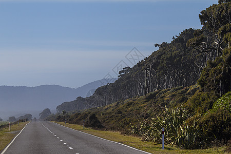 新西兰的这条道路灰色薄雾绿色阴影空气天空沥青蓝色白色假期图片