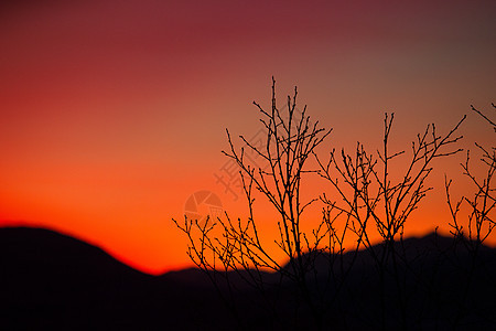 夏日夕阳天空树木山脉红色图片
