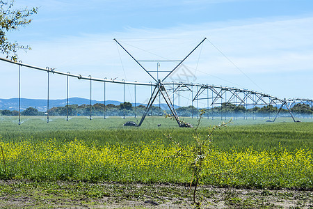 作物的工业农业灌溉地面技术机器收获农田喷雾器生产土地蔬菜洒水器图片