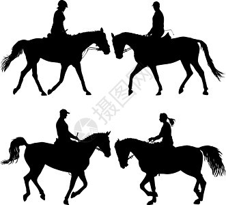 设置马和 jocke 的矢量剪影动物野马艺术鬃毛自由荒野夹子饲养农场插图图片