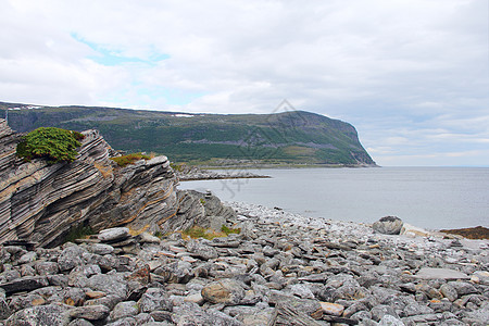 挪威北部地貌景观草地海洋峡湾场景海岸天空支撑顶峰农村石头图片
