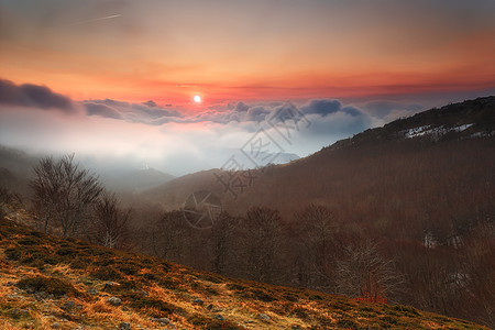 太阳升起在山谷的云上农村森林薄雾天空树木风景环境夕阳旅游晴天图片