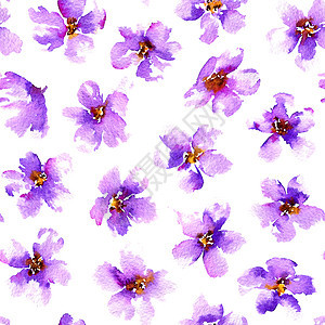 紫花的无缝图案 水彩画手绘插图图片