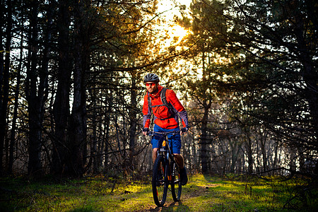 赛车手骑着自行车在美丽的仙子松林的轨迹上 冒险和旅行概念头盔松树车轮行动魔法橙子速度活动运动员森林图片