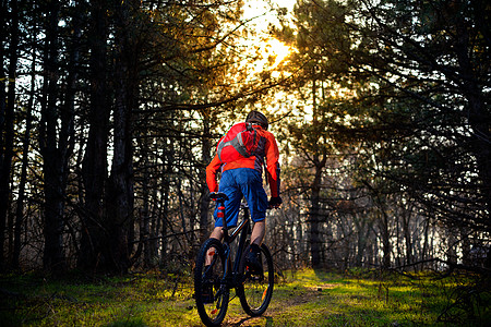 赛车手骑着自行车在美丽的仙子松林的轨迹上 冒险和旅行概念耐力射线安全男性速度森林娱乐魔法行动踪迹图片