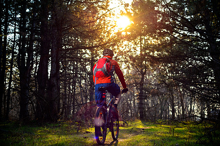 赛车手骑着自行车在美丽的仙子松林的轨迹上 冒险和旅行概念男人安全车轮耐力赛速度松树射线男性行动头盔图片