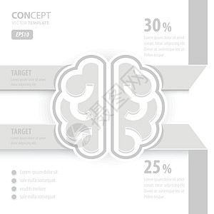 人类大脑概念白色背景图片