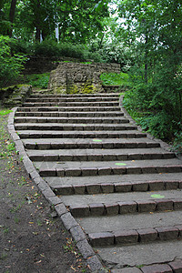 公园的楼梯叶子爬坡小路绿色石头图片