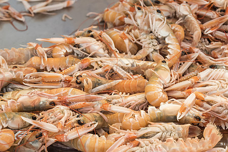 海产食品市场中的虾贝类海鲜渔业港口甲壳动物海洋饮食虾蛄团体图片