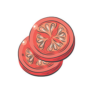 西红柿切片番茄切片矢量绘图 watercolo插画